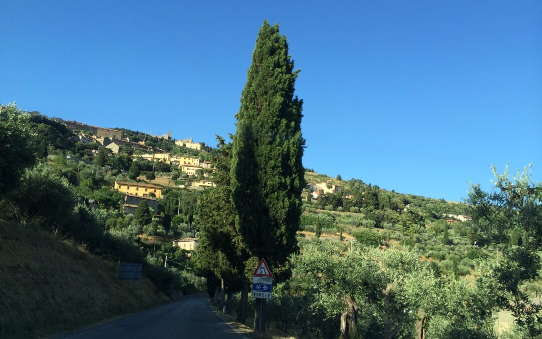 Cortona